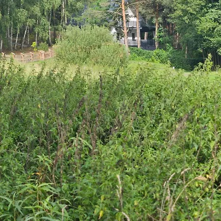 Na Wypoczynek Na Wylacznosc * Osetno